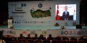 Van’da “3. Ulusal Yaban Hayvanları Kongresi” başladı