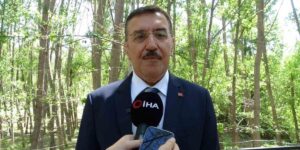 Zirai don destek ödemeleri başlıyor