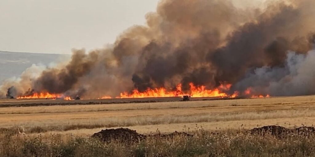 Araban Ovası’nda 8 ayrı noktada 2 bin dönüm ekili alan yandı