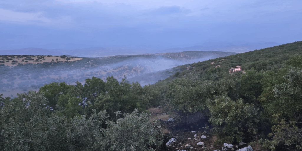 Diyarbakır’da örtü yangını