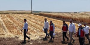 Adıyaman’da tohumculuk sektörü güçleniyor