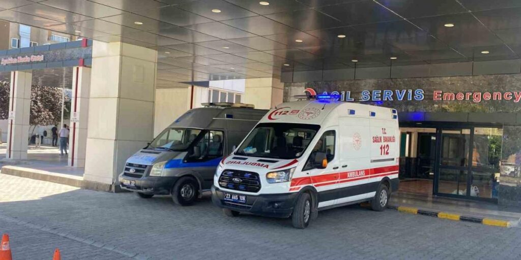 Ahırda süt sağan kadını kene ısırdı