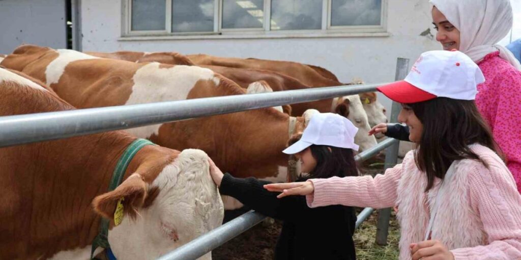 Aileyle üretim yolculuğu: Modern tesislerden tandıra, nesiller buluştu