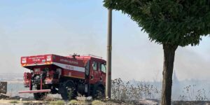 Anız yangını bahçeye sıçradı