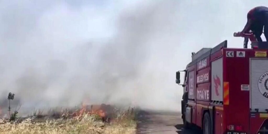 Anız yangını ormanlık alana sıçradı