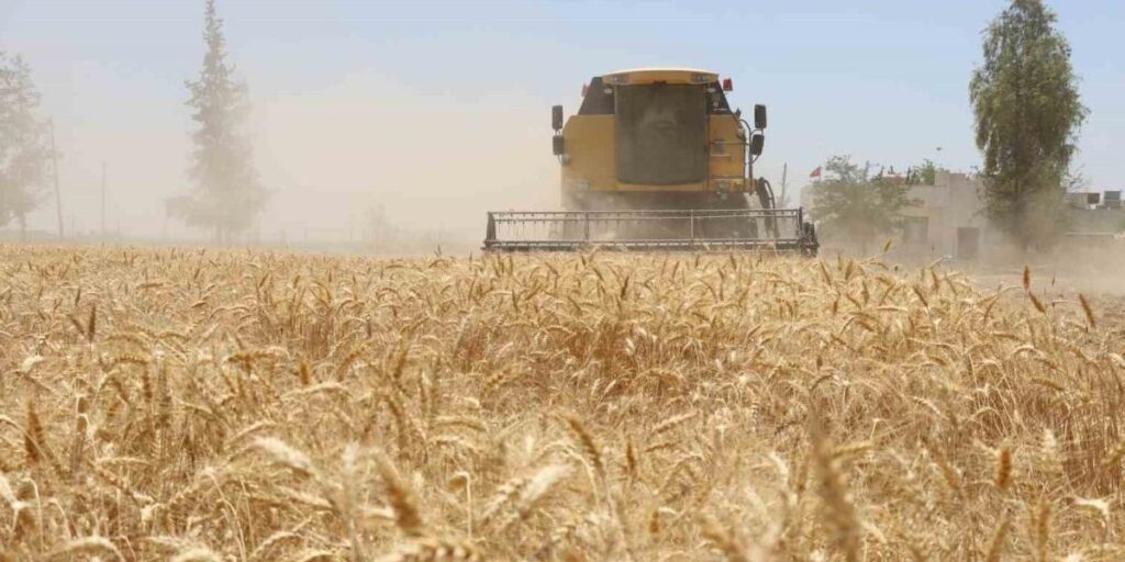 Belediyede hasat zamanı