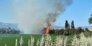 Bingöl’de ağaçlık alanda korkutan yangın