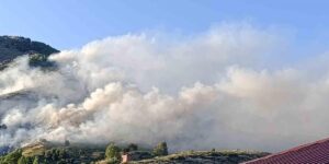 Bingöl’de ağaçlık alanda yangın