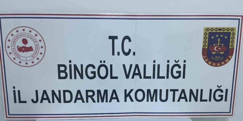 Bingöl’de jandarmanın dikkati tarihi eser kaçakçılığını önledi