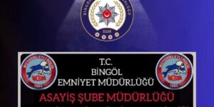 Bingöl’de ruhsatsız silah operasyonu