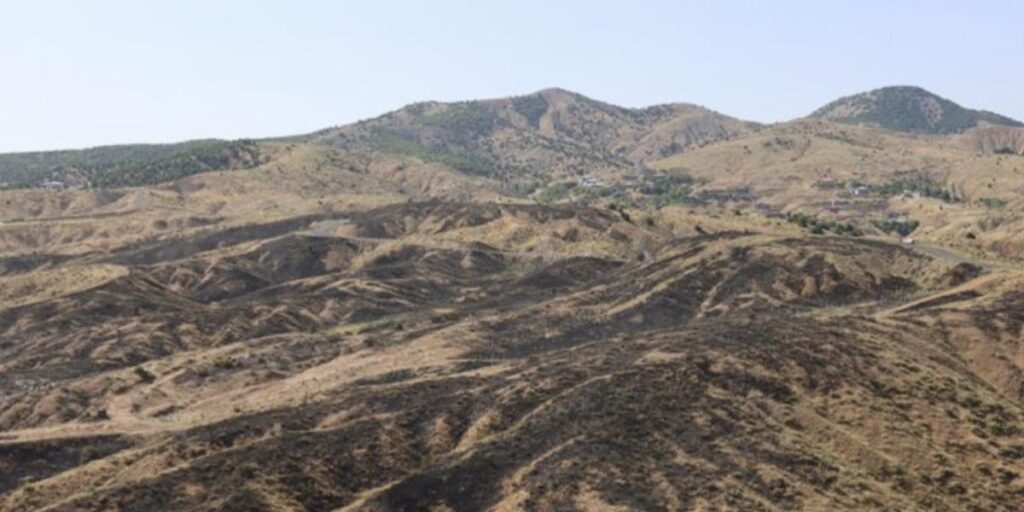 Bingöl’deki orman yangını söndürüldü