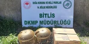 Bitlis’te kaçak keklik aylayan kişiye 63 bin TL idari para cezası uygulanacak