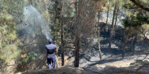 Çocukların çakmakla oyunu ormanı yaktı