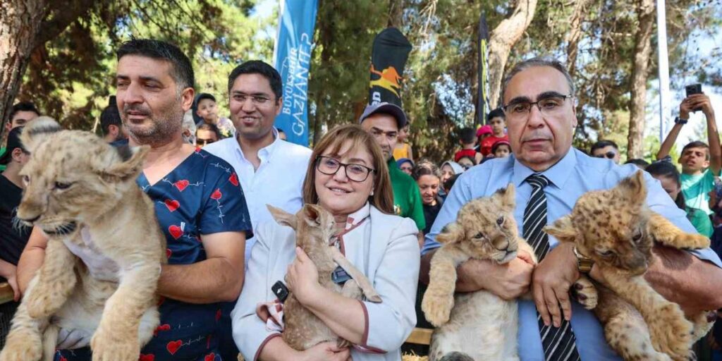 Cumhurbaşkanı Erdoğan’a hediye edilen aslanların üç yavrusu doğdu