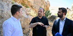 Derik Kaymakamı Bayraklı, zeytinliklerde yürütülen sulama çalışmalarını inceledi