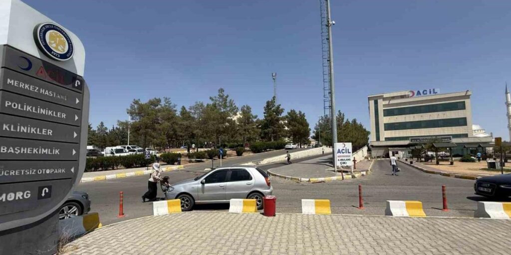 Diyarbakır’da kız kaçıran gencin annesi öldürüldü