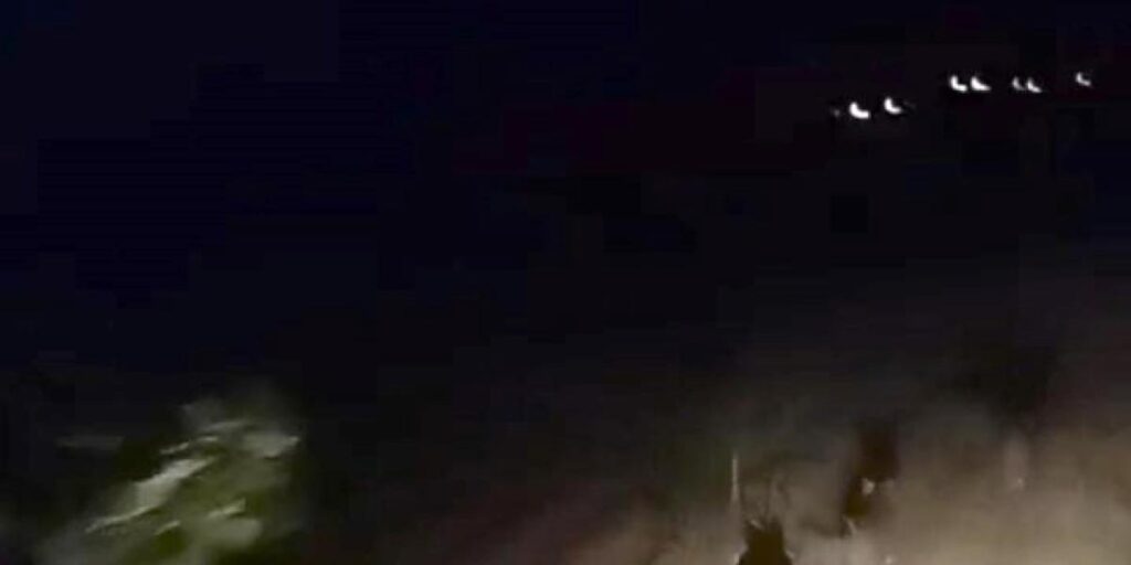 Domuz sürüsünü sessizce kovaladı