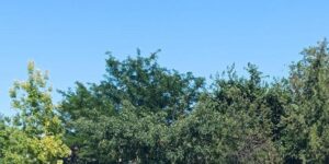 Elazığ’da trafik kazası: 3 yaralı