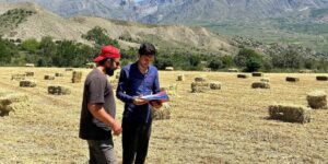 Erzincan genelinde yem bitkisi kontrolleri başladı