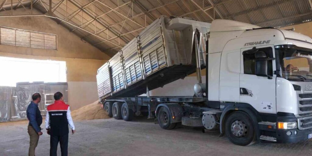 Erzincan’da hububatta ilk hasat başladı