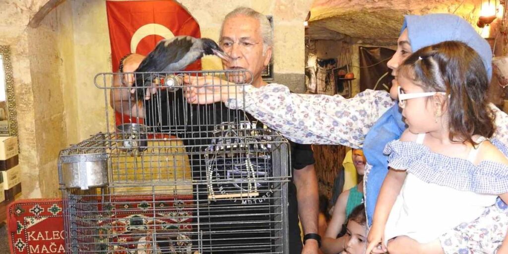 Esnafın sahiplendiği karga ile dostluğu görenleri hayrete çeviriyor