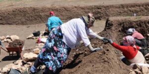 Evde pirinçten taş ayıklayan kadınlar, arkeolojik kazılarda buluntu ve veri ayıklıyor