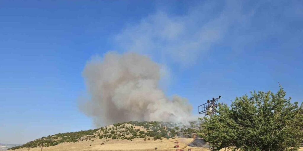Gaziantep’te anız yakarken suçüstü yakalanan şahsa 47 bin TL ceza