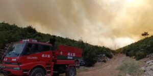 Gaziantep’te orman yangını: Yangına havadan ve karadan müdahale ediliyor