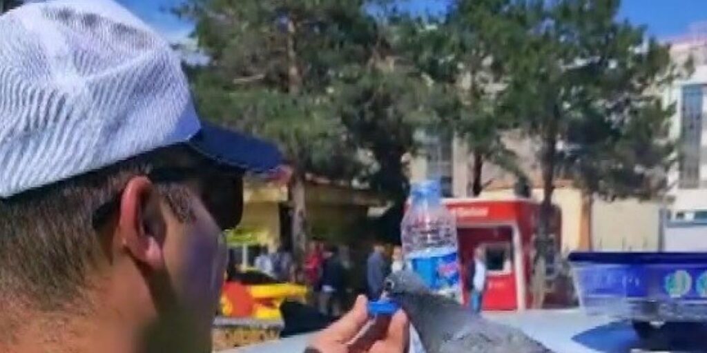 Güvercine su içiren trafik polisi merhametiyle yürekleri ısıttı