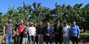 Iğdır Üniversitesi uygulama bahçesinde “Kayısı Hasadı Etkinliği” düzenlendi