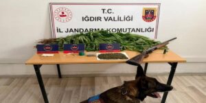 Iğdır’da jandarmadan uyuşturucu operasyonu: 1 kişi tutuklandı