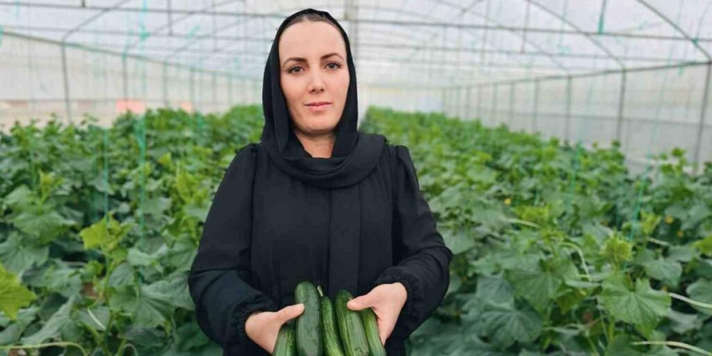 Irak’tan Yüksekova’ya uzanan başarı öyküsü