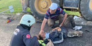 İş makinesi yemek molasındaki işçilerin arasına daldı