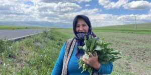 Karslı kadınların ‘evelik’ mesaisi başladı