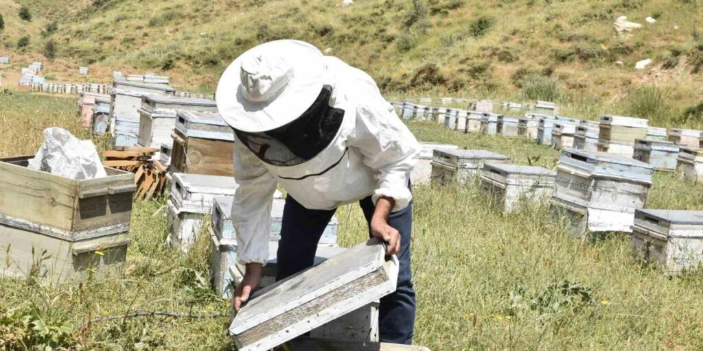 Kuraklık Bitlisli arıcıları kara kara düşündürüyor