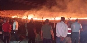 Kurtalan’da anız yangını paniğe neden oldu