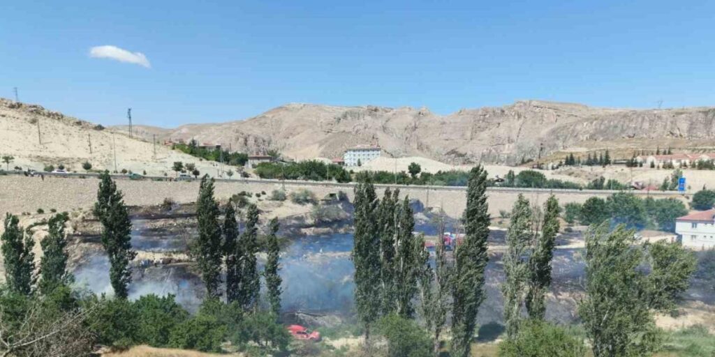 Malatya’da ot yangını