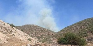 Mardin’de orman yangını