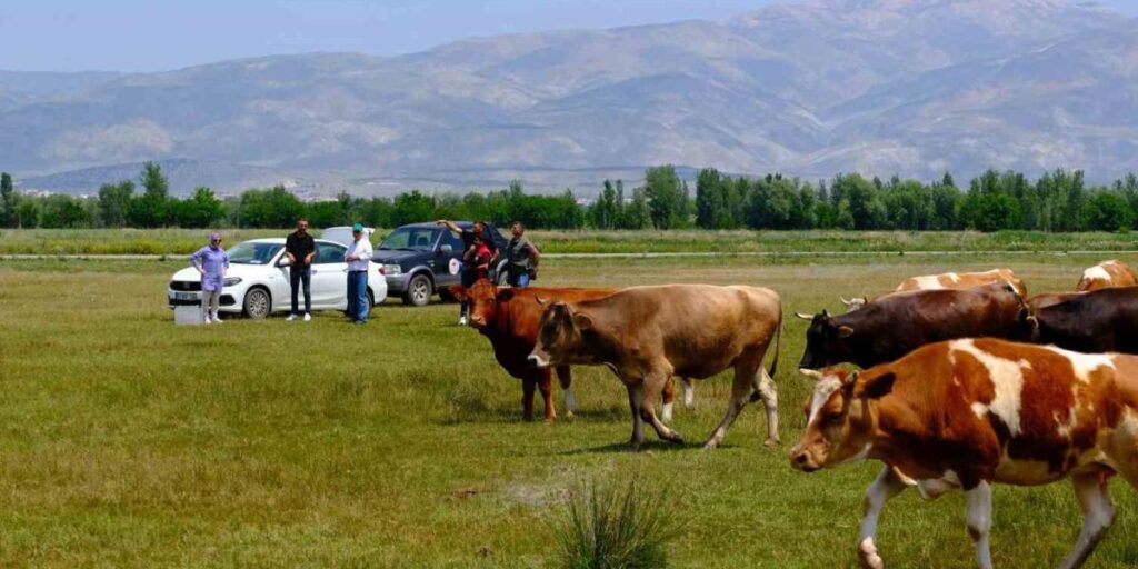 Meralarda su arama çalışmaları yapılıyor
