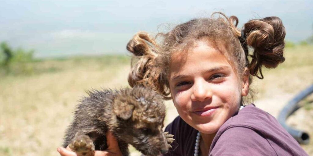 Muş’ta çoban kardeşler yaylada ölmek üzere olan kurt yavrularını kurtardı