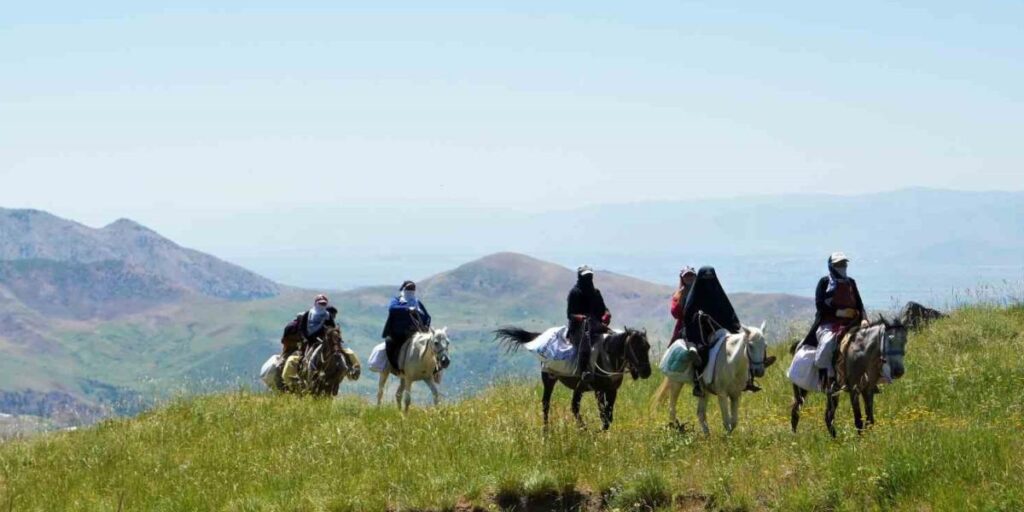 Muş’ta koyunları sağmak için at sırtında 8 kilometre yol kat ediyorlar