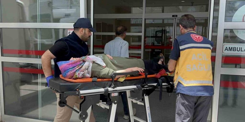 Otomobil şarampole devrildi: 8 yaralı