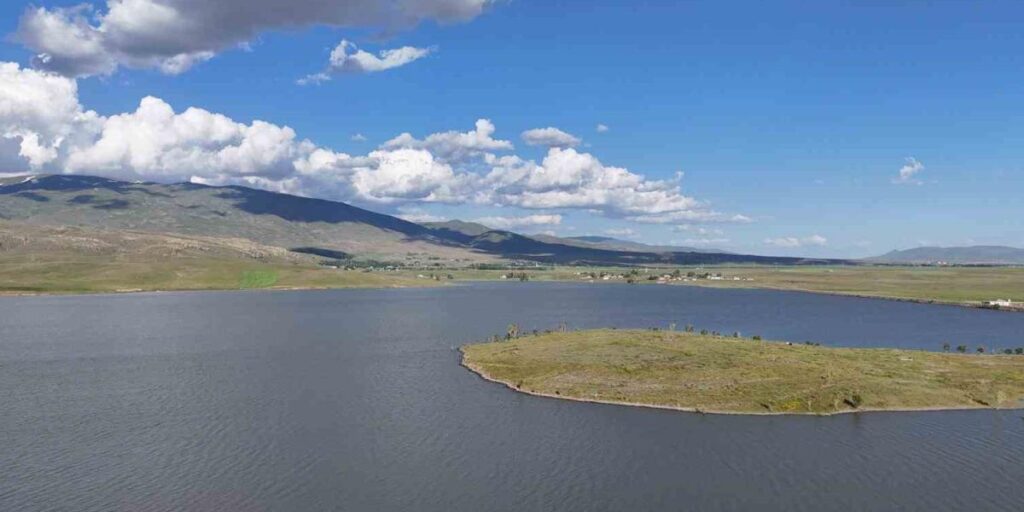 Patnos Barajı’nda balık çeşitliliği azalıyor