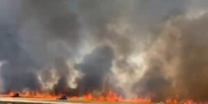 Şanlıurfa’da 100 dönümlük buğday tarlası küle döndü