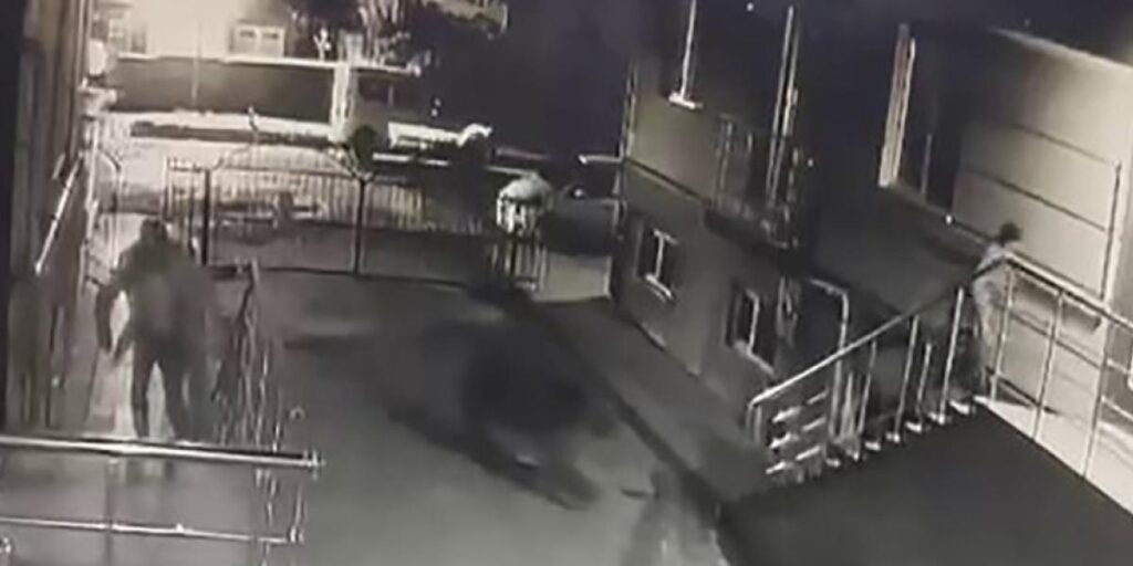 Sarıkamış’ta ayı vatandaşlardan, vatandaşlar ayıdan kaçtı