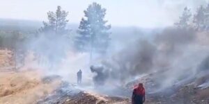 Sigara izmaritleri yangınlara neden oldu