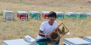 Siirtli arıcının arılarla kurduğu bağ görenleri şaşırtıyor