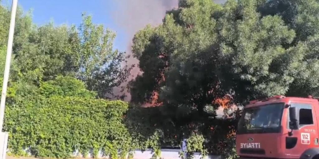 Siirt’te yanan işletme küle döndü