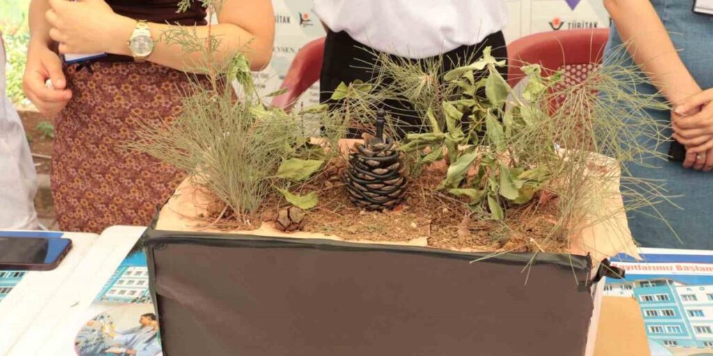 Şırnaklı öğrencilerden “Yakan Değil Söndüren Kozalak Projesi”