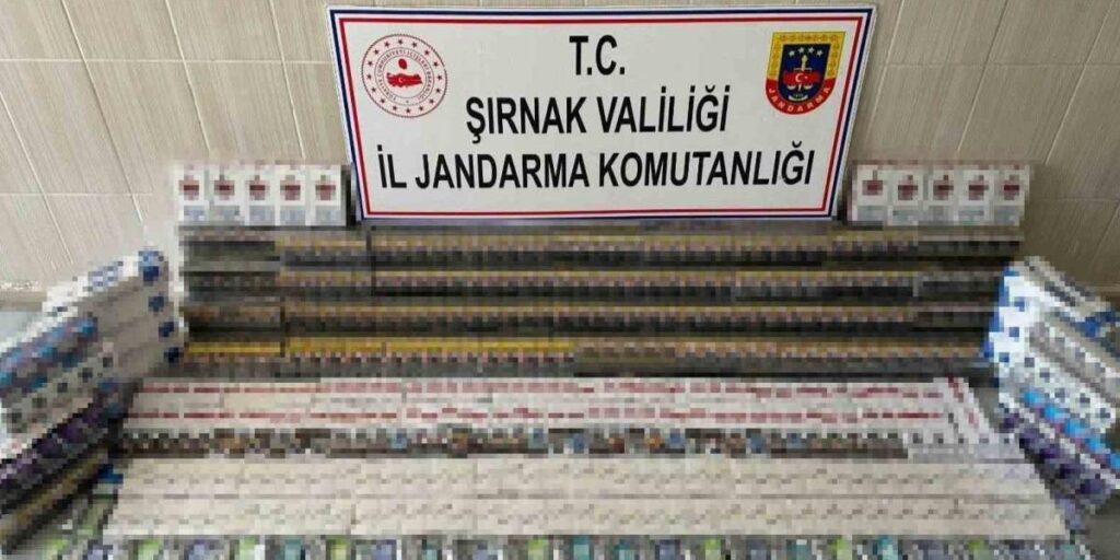Şırnak’ta 5 milyon lira değerinde gümrük kaçağı ürün ele geçirildi